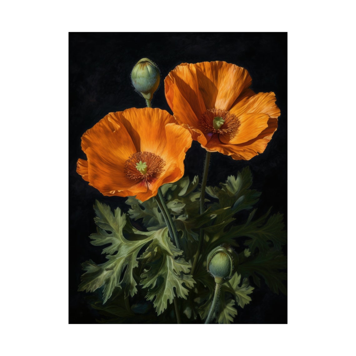 California Poppy Orange Blooms Buds Sunlit Dark Floral Painting Poster - Image 4