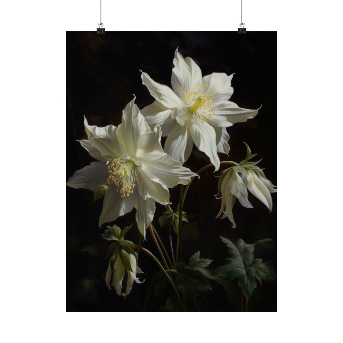 White Columbine Delicate Blooms Yellow Centers Dark Floral Poster - Image 5