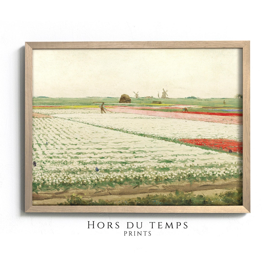 Dutch Tulip Fields Windmills Spring Flower Farm Vintage Art Poster