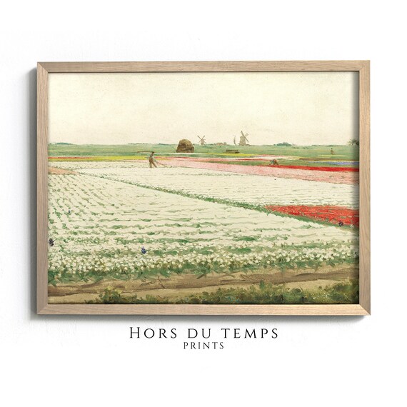 Dutch Tulip Fields Windmills Spring Flower Farm Vintage Art Poster