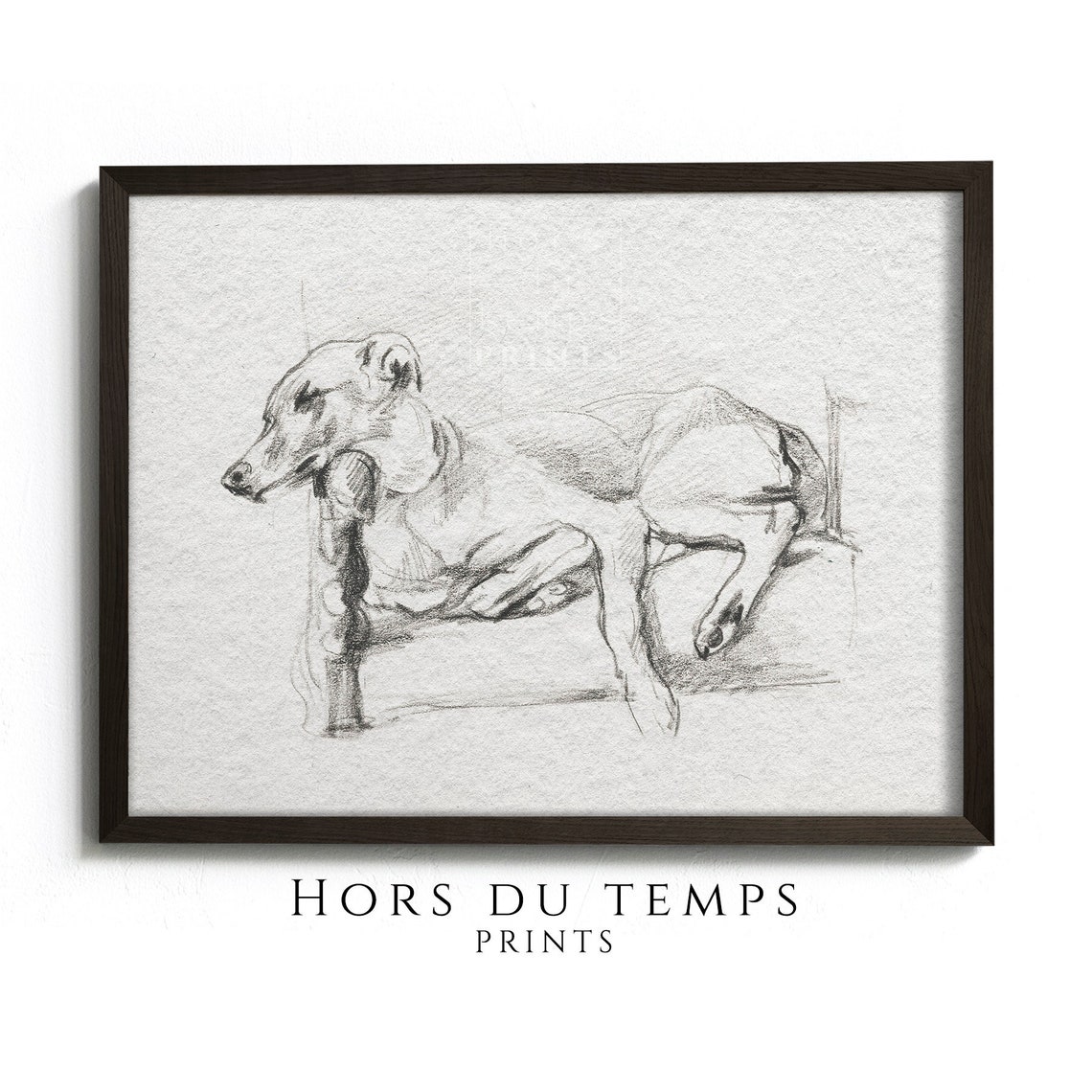 Sleeping Sighthound Dog Pencil Sketch Vintage Animal Drawing Poster
