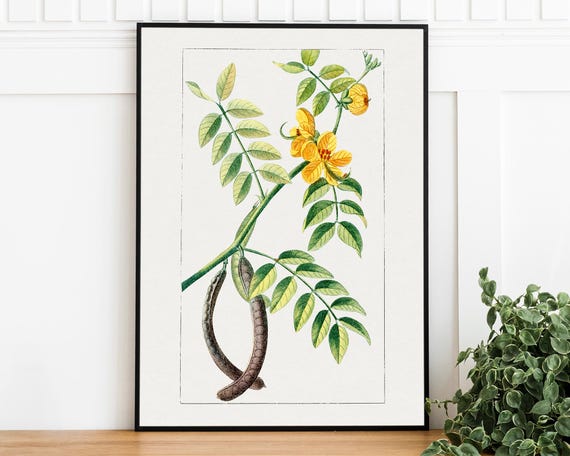 Vintage Coffee Plant Wall Art Retro Art Poster Trendy Wall Art Coffee Lover Gift Botanical Home Decor