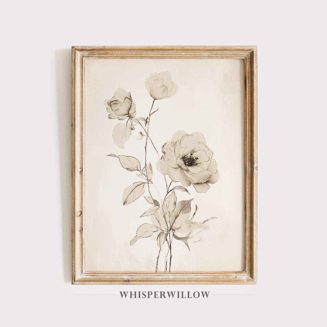 Antique Sepia Rose Sketch Vintage Botanical Blossom Drawing Poster