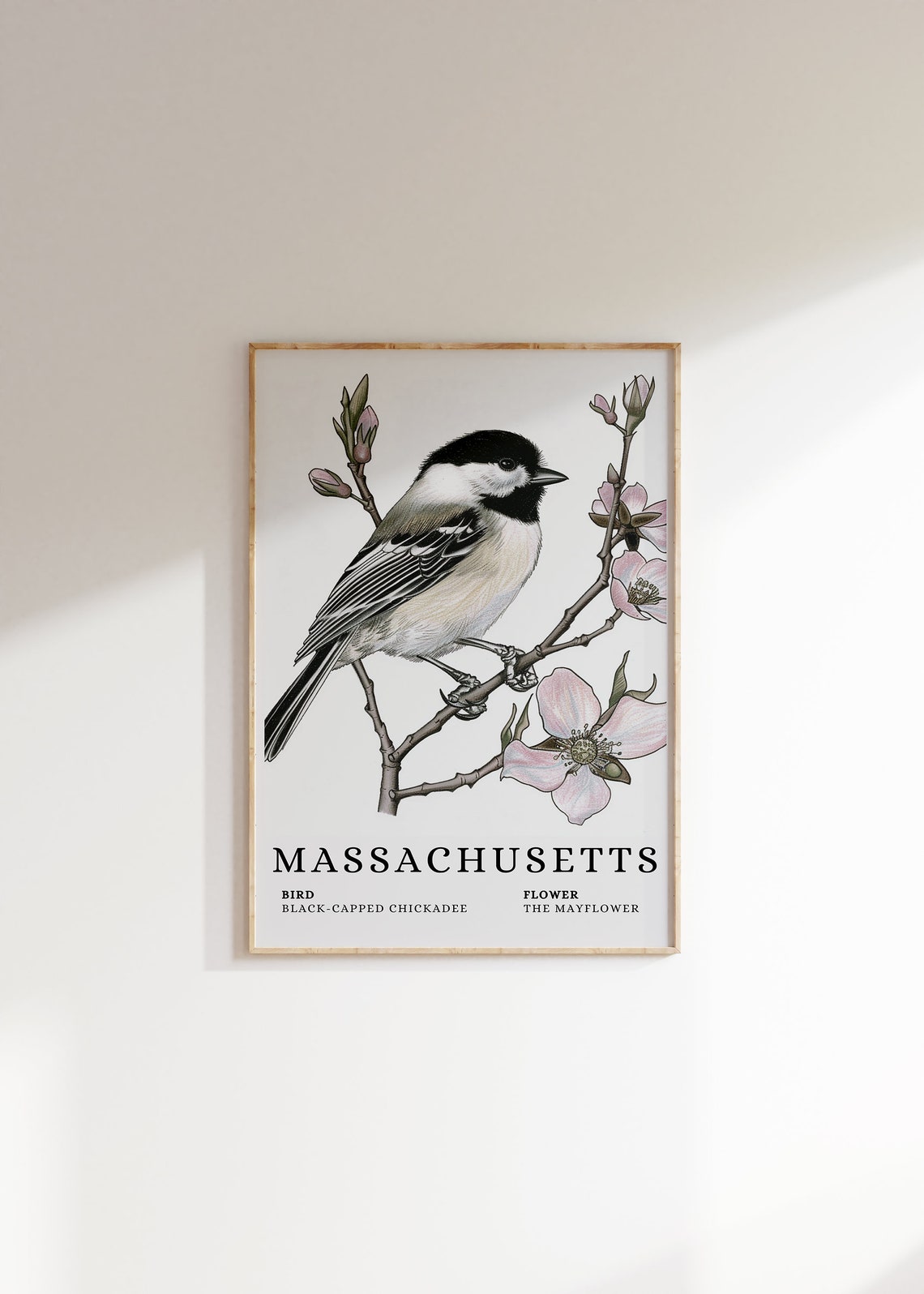 Massachusetts Black-Capped Chickadee Mayflower Bird Flower Print