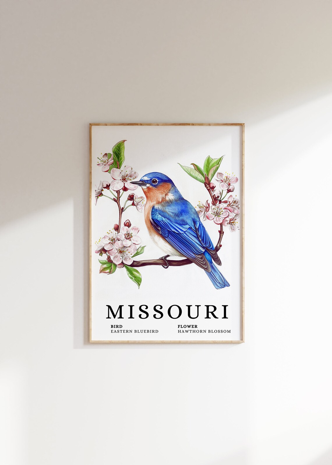 Missouri Eastern Bluebird Hawthorn Blossom Bird Flower Art Print