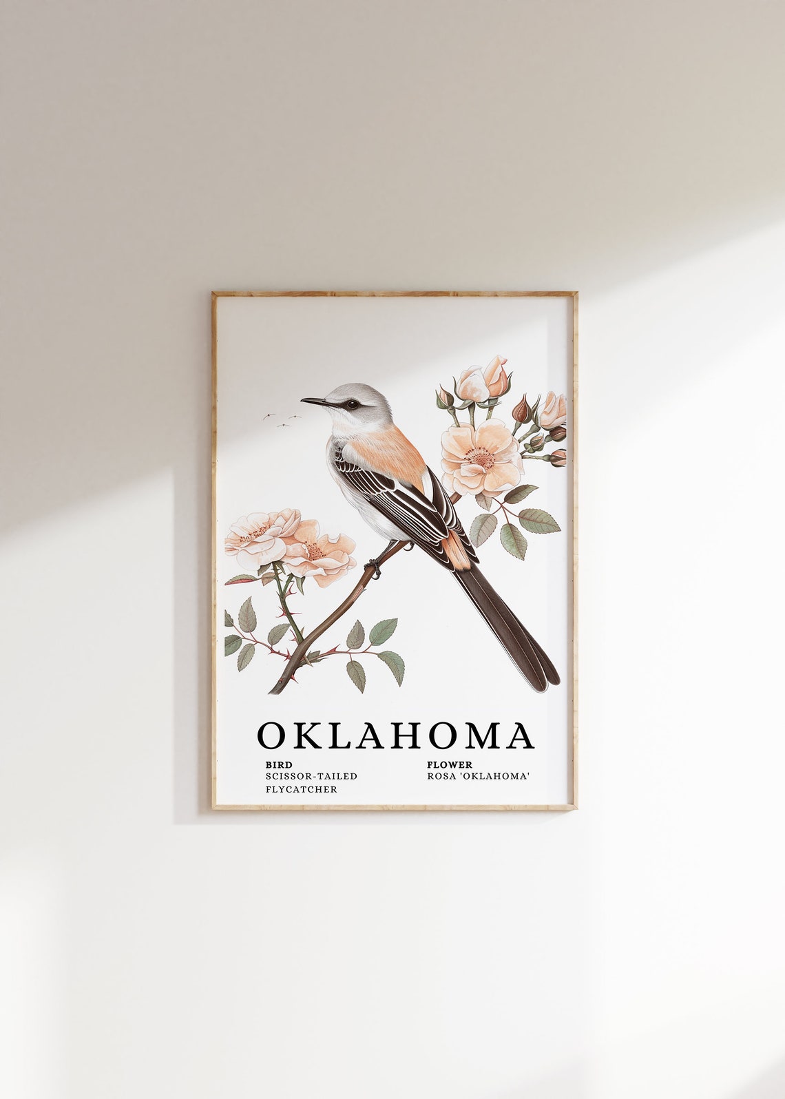 Oklahoma Scissor-Tailed Flycatcher Rosa Oklahoma Bird Flower Print