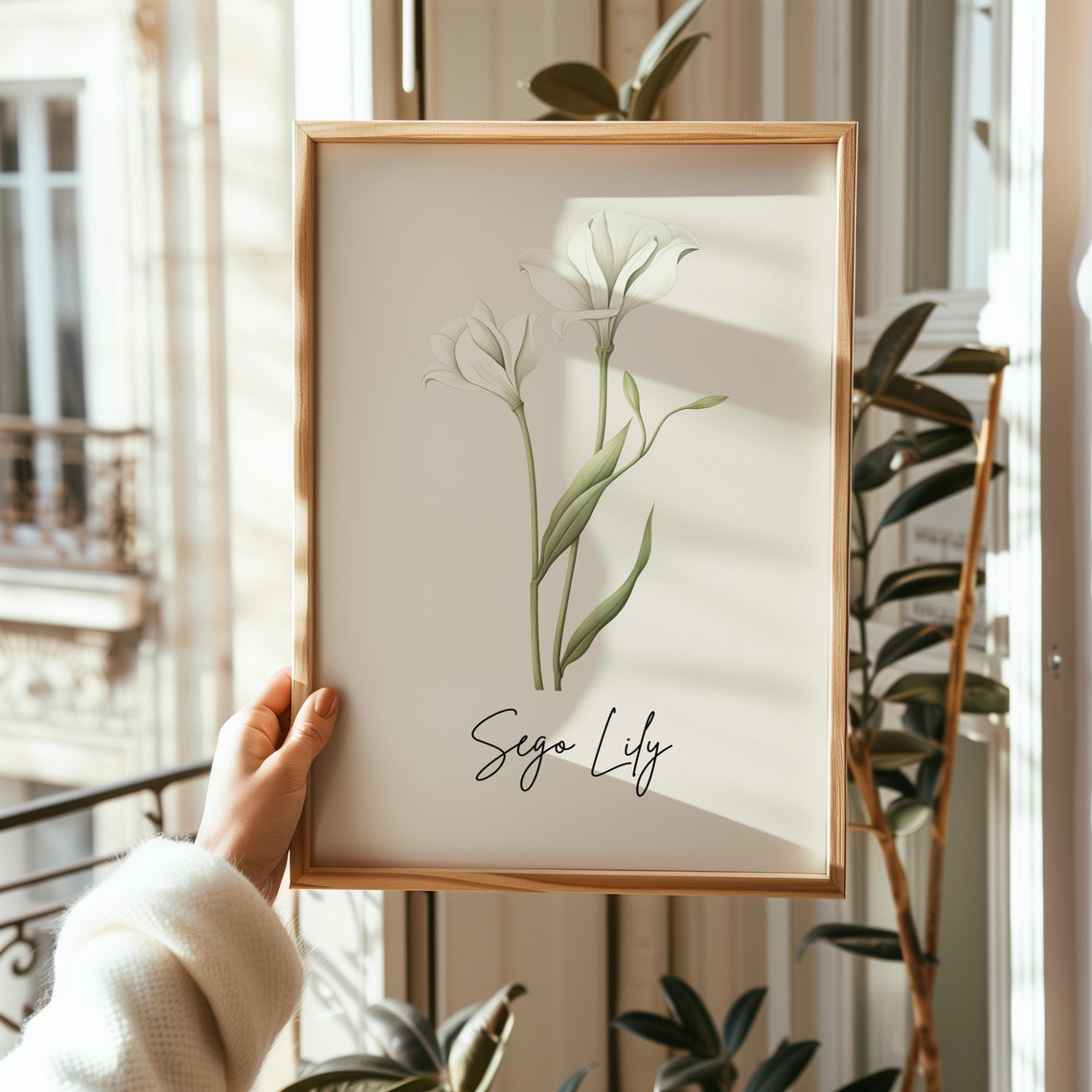 Sego Lily Botanical Watercolor Art Minimalist White Flower Wall Print