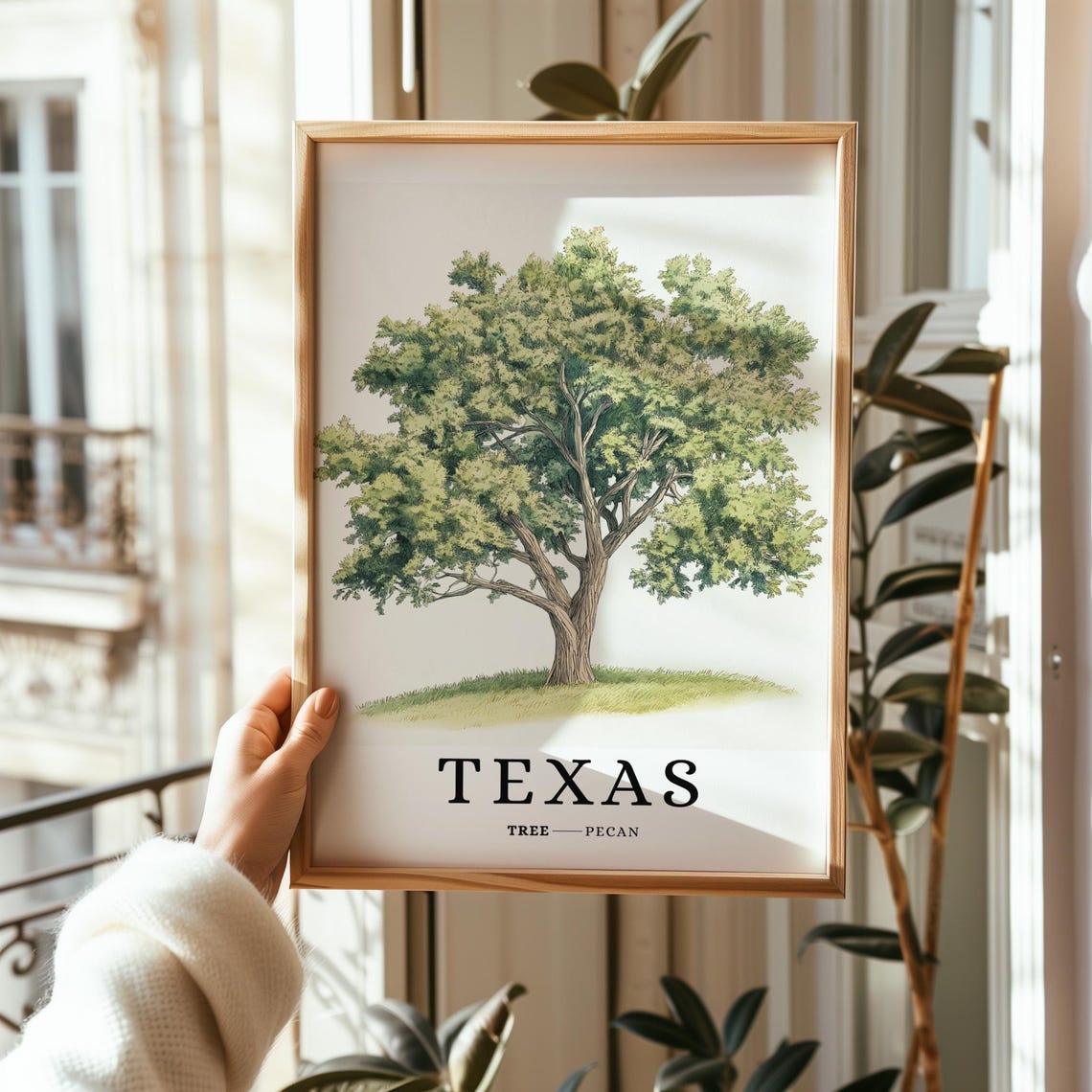 Texas Pecan Tree Botanical Minimalist Southern State Symbol Poster - Image 2