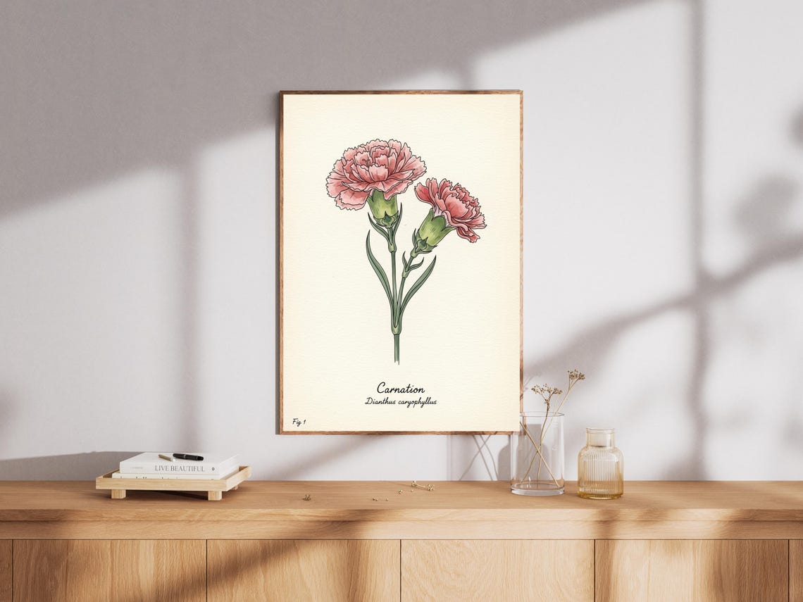 Carnation Vintage Botanical Illustration Dianthus Floral Art Print