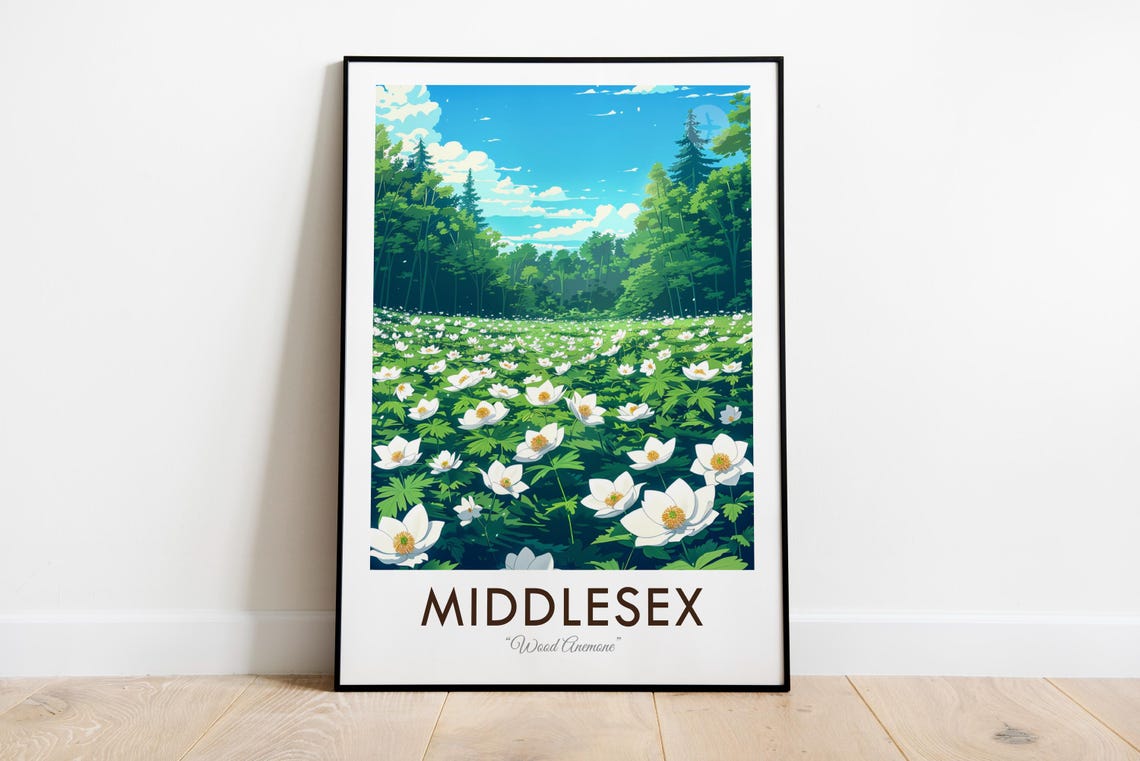 Middlesex Wood Anemone Wildflower Meadow Vintage Botanical Poster