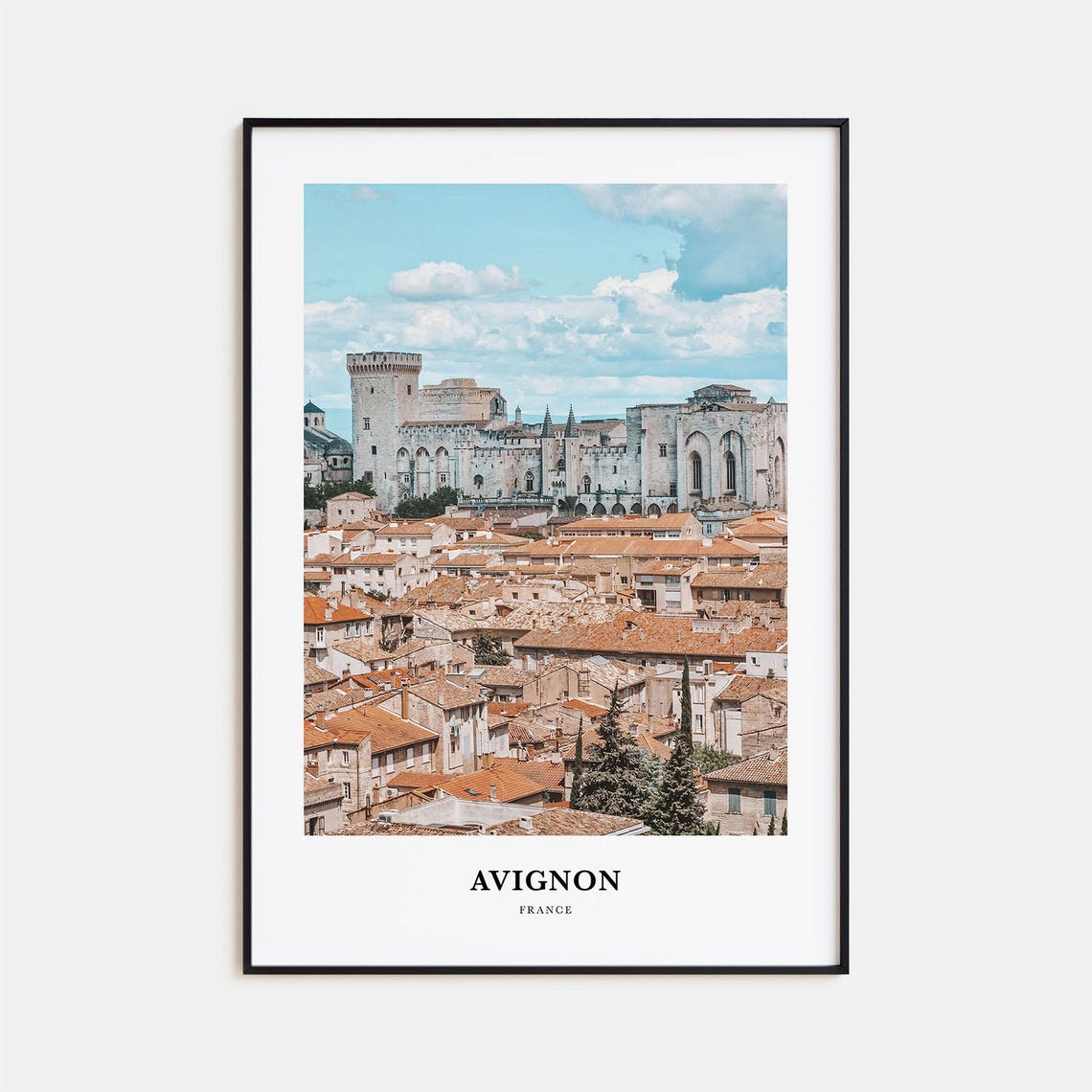 Avignon France Old Town Rooftops Medieval Palace View Poster