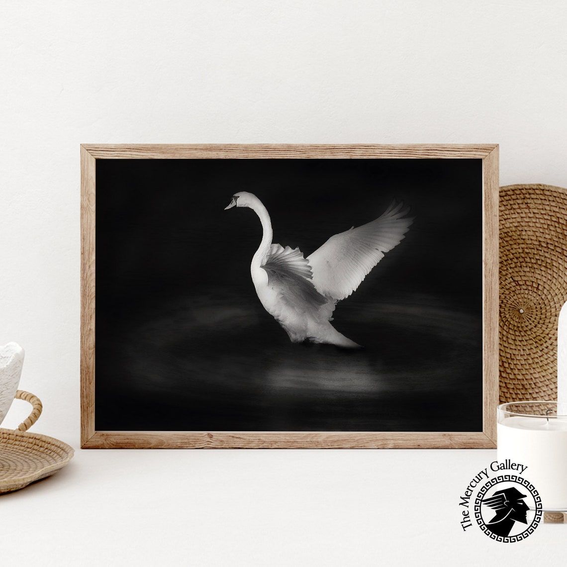 White Swan Taking Flight Dramatic Black And White Fine Art Photo Print - Image 6