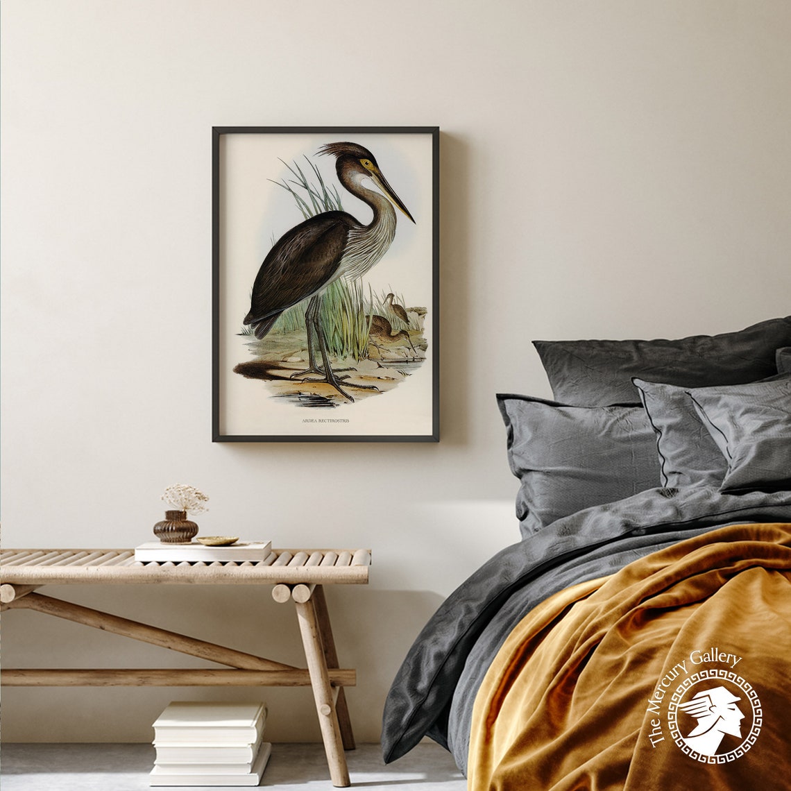 Vintage Great-Billed Heron Antique Waterbird Illustration Art Print - Image 3