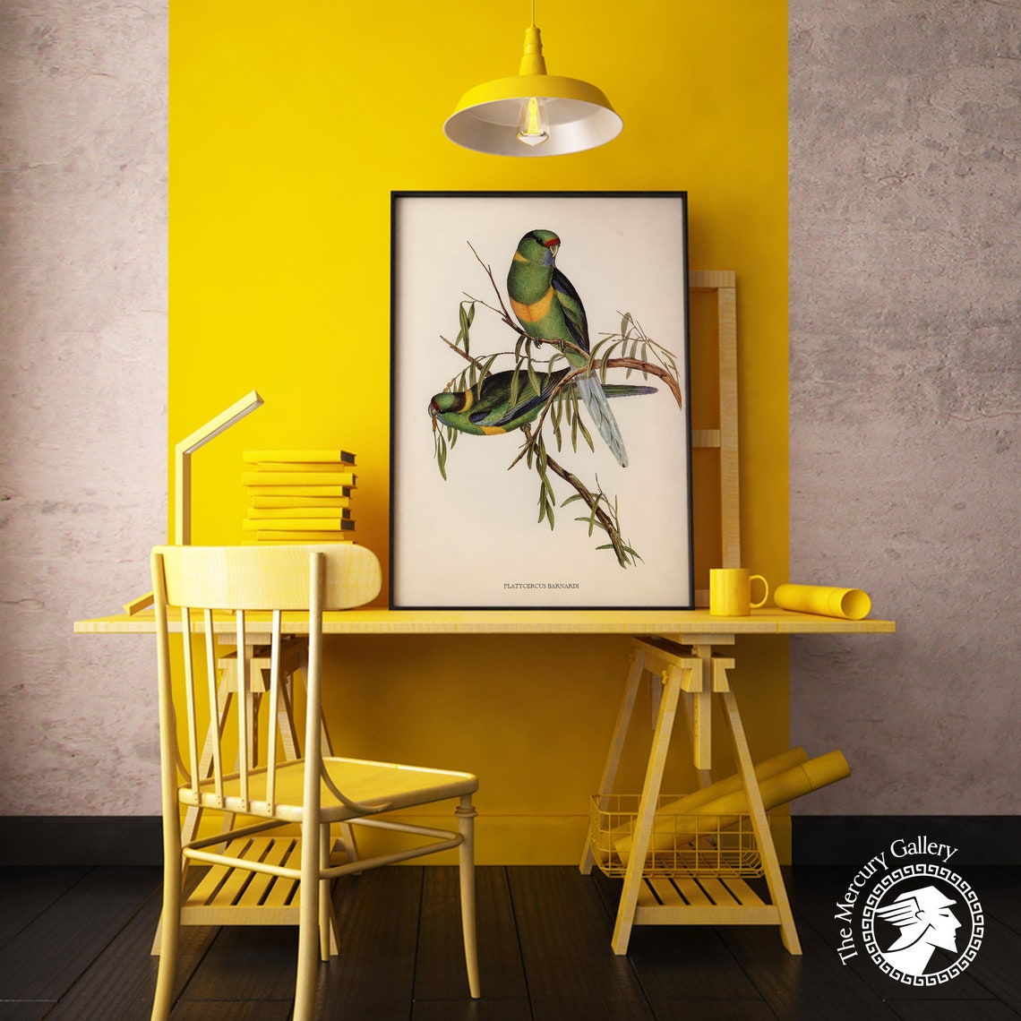 Vintage Barnard's Parakeet Pair Antique Australian Bird Art Print - Image 6