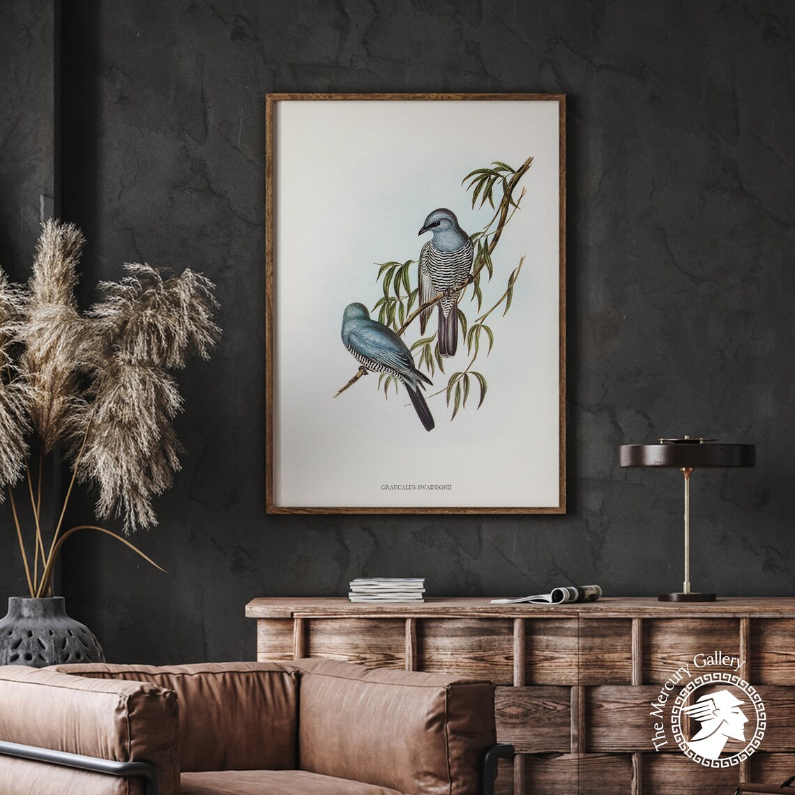 Vintage Swainson's Cuckoo-Shrike Pair Antique Ornithology Art Print - Image 3