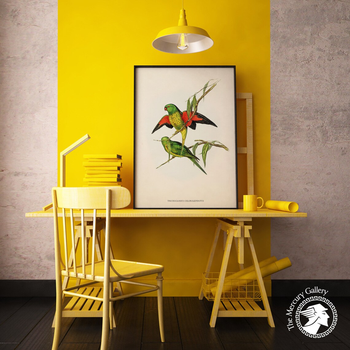 Scaly Breasted Lorikeet Vintage Australian Bird Illustration Print - Image 6