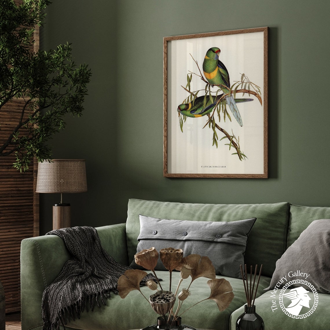 Vintage Barnard's Parakeet Pair Antique Australian Bird Art Print - Image 3