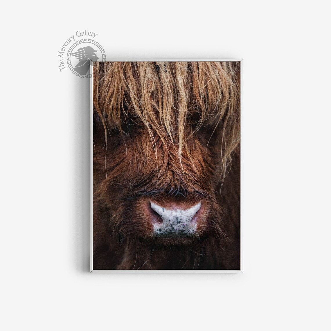 Highland Cow Shaggy Face Close Up Rustic Farmhouse Animal Photo Print - Image 3