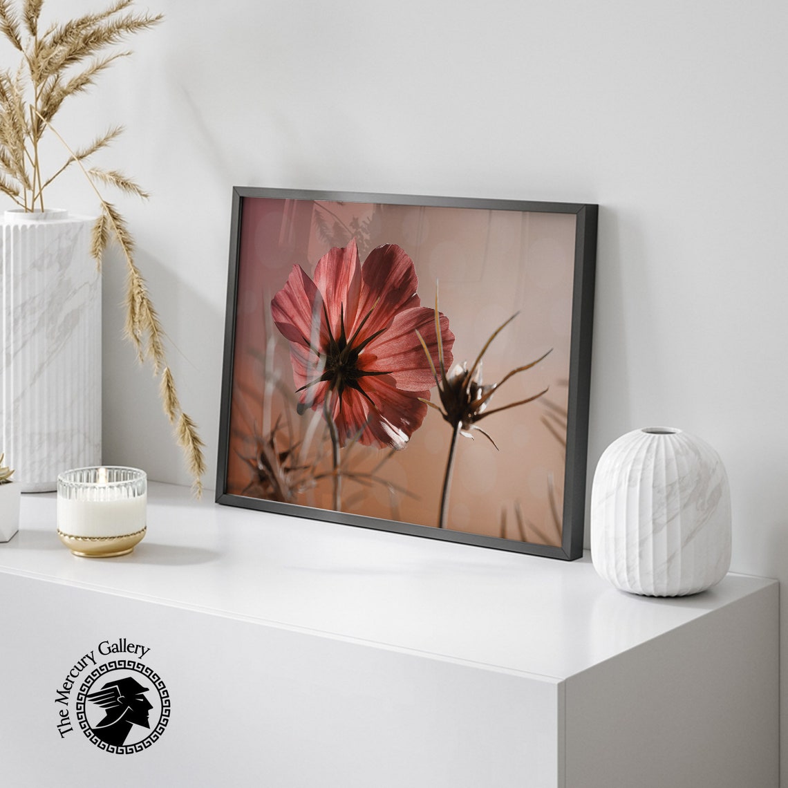Pink Cosmos Flower Backlit Close Up Botanical Photography Art Print - Image 5