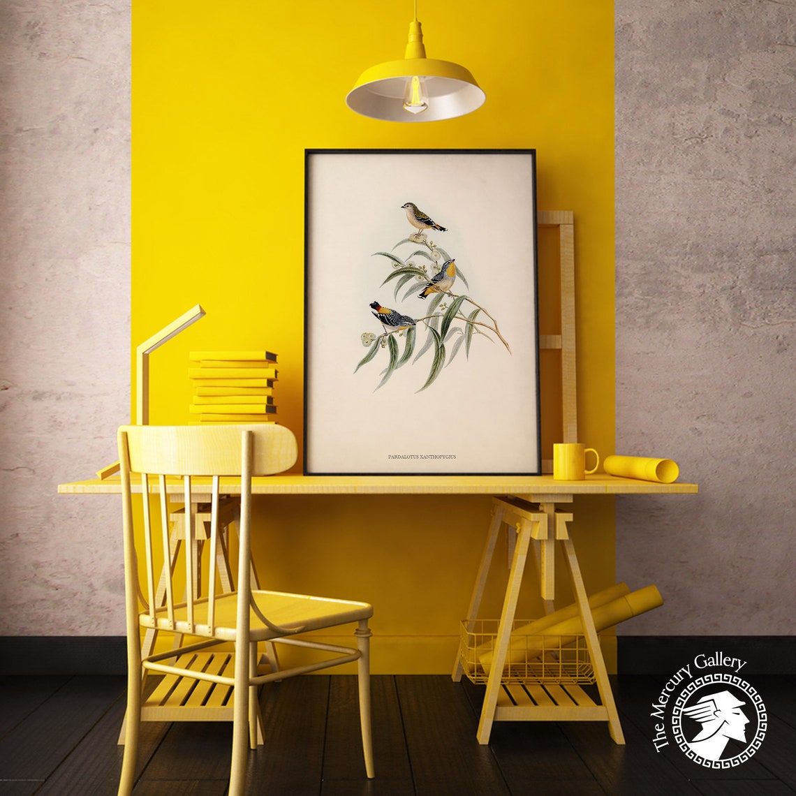 Yellow Rumped Pardalote Vintage Australian Bird Illustration Print - Image 6