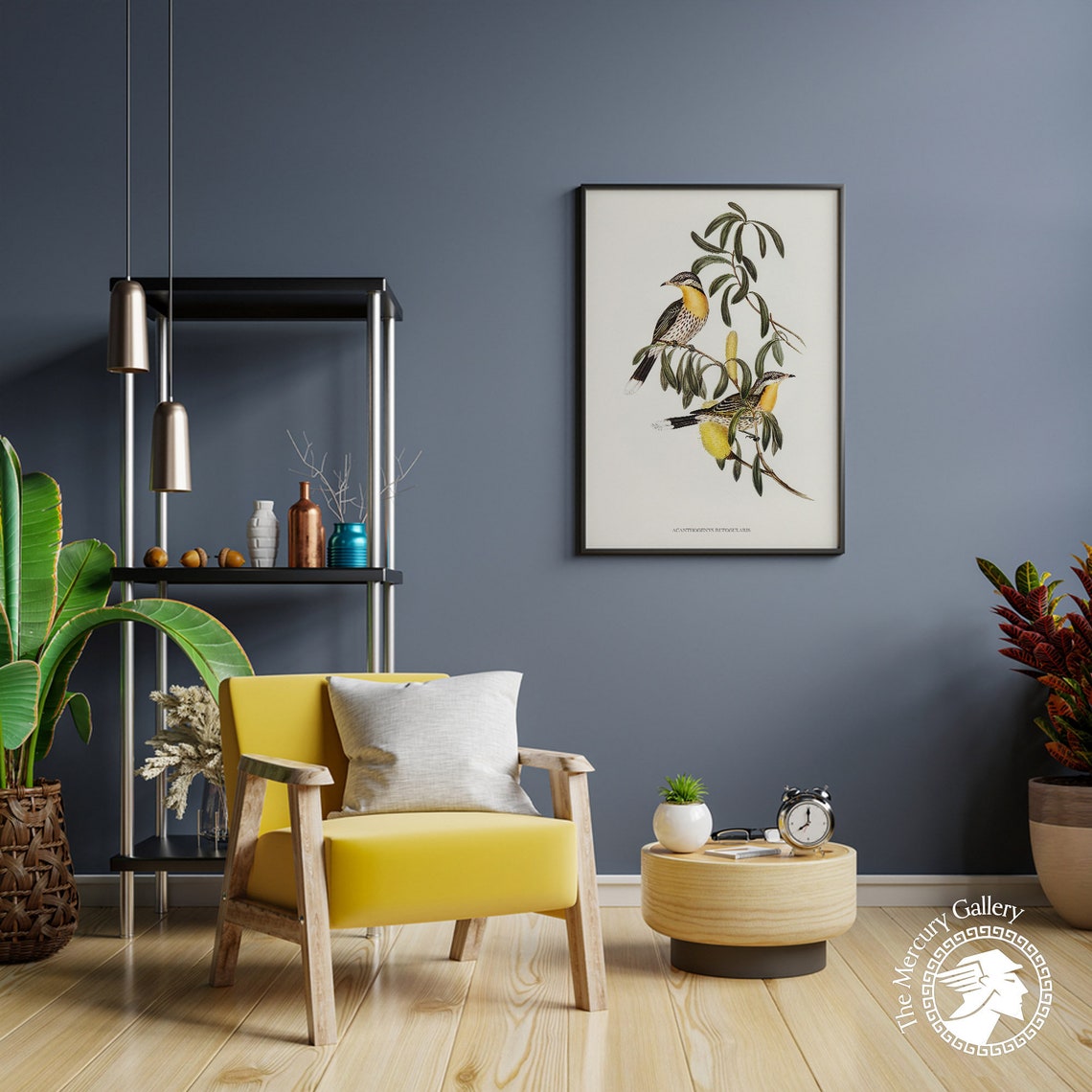 Spiny Cheeked Honeyeater Vintage Australian Bird Illustration Print - Image 4