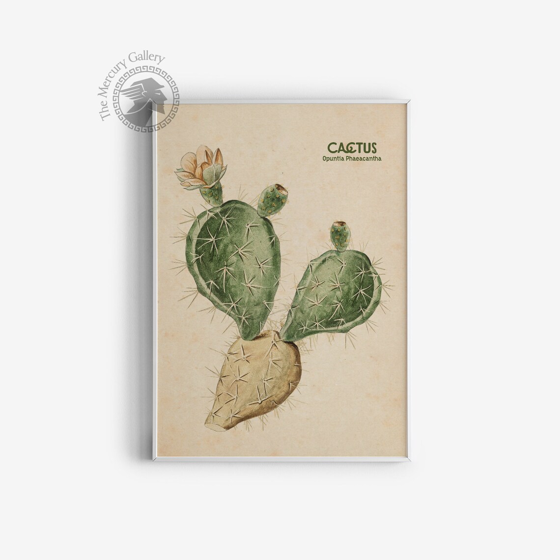 Vintage Cactus Floral Art Print, Botanical Decor - Image 3