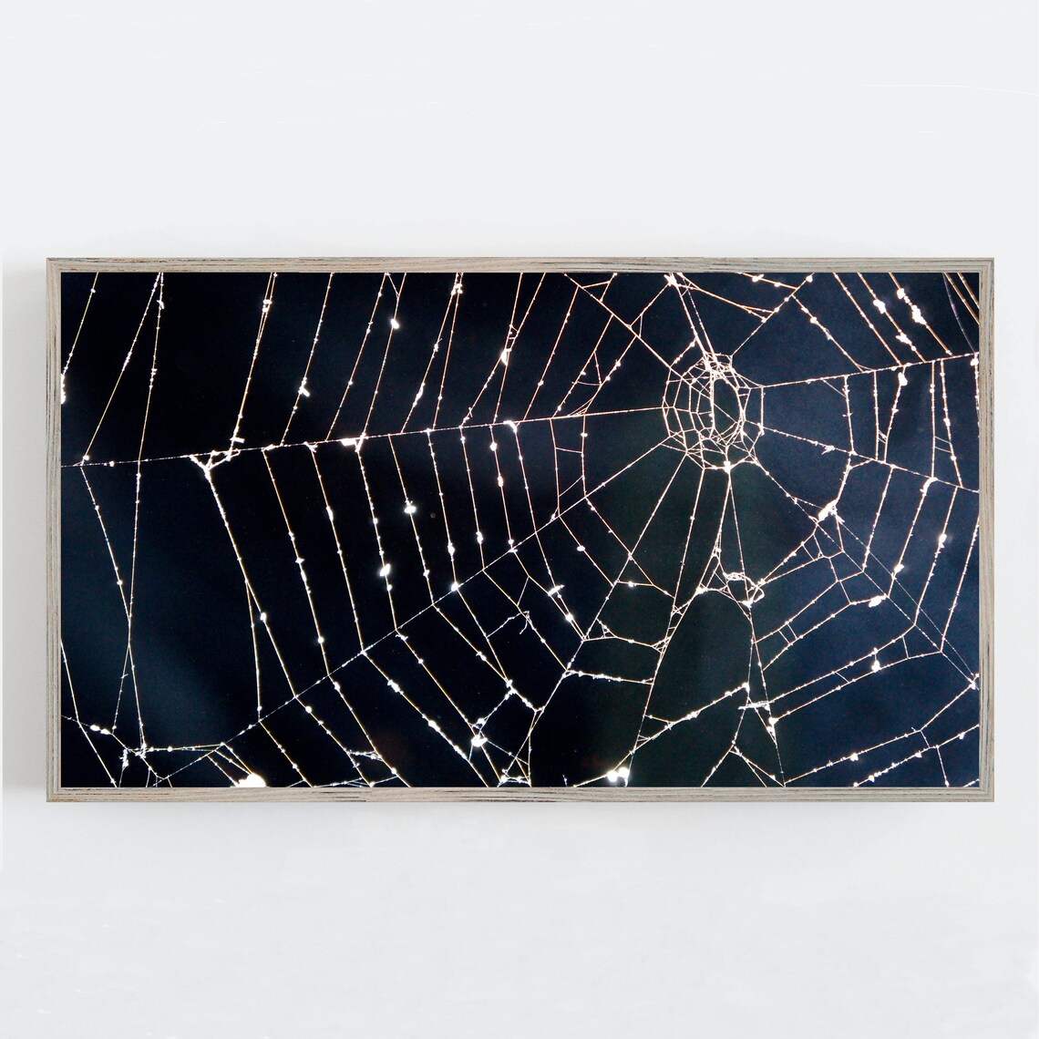 Halloween Spider Web Art Print, Dark Moody Colors