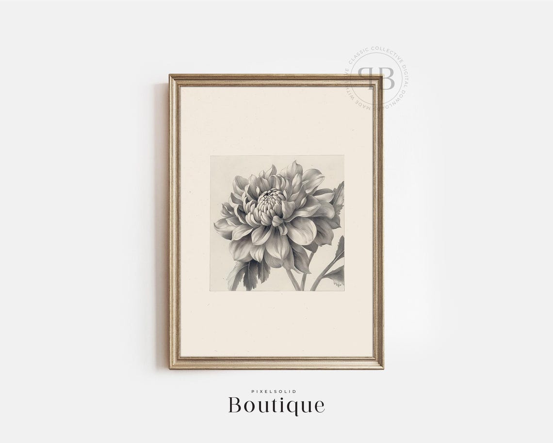 Dahlia Flower Illustration Wall Art Botanical Floral Print In Vintage Style No626