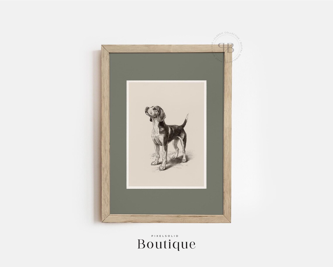 Beagle Dog Antique Hunting Portrait Art Print