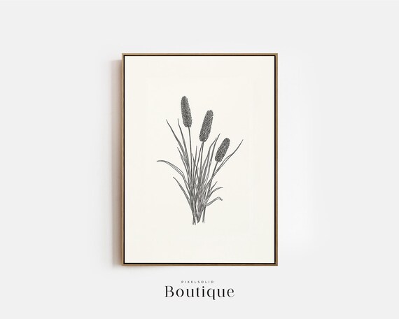 Minimalist Botanical Decor Black And White Cat Tail Illustration Rustic Home Natureinspired Wall Art Drawing No456