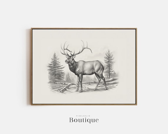 Elk Sketch Neutral Wapiti Illustration Print Farmhouse Hunting Wall Decor Stag Drawing Minimalist Buck No400