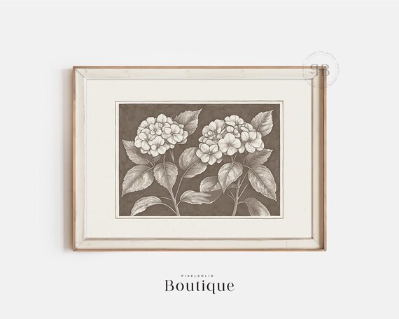Hydrangea Botanical Print Sepia Flower Illustration Classic Nature Wall Art Vintage Style No616