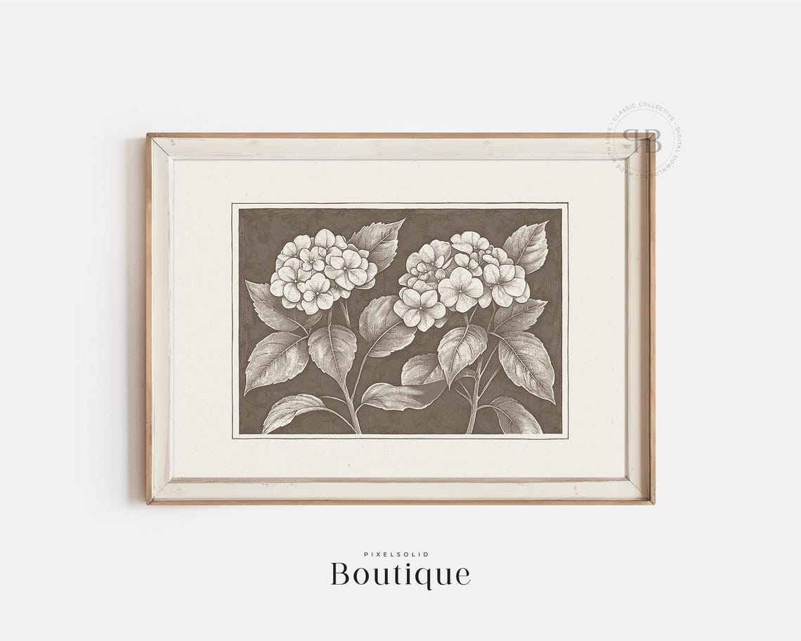 Sepia Hydrangea Botanical Study Vintage Floral Illustration Print