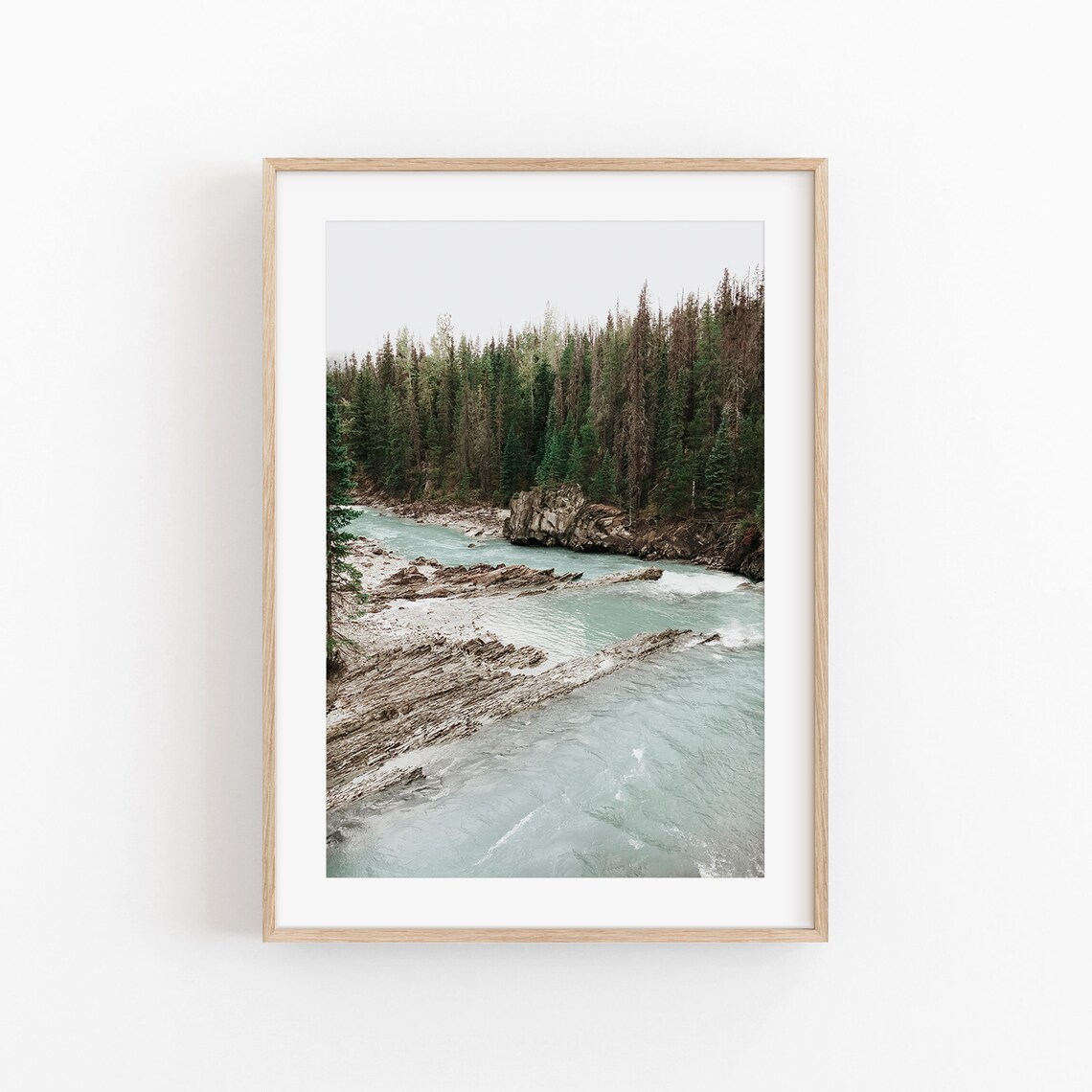 Fog Tree Nature Art Print, Forest Wall Decor