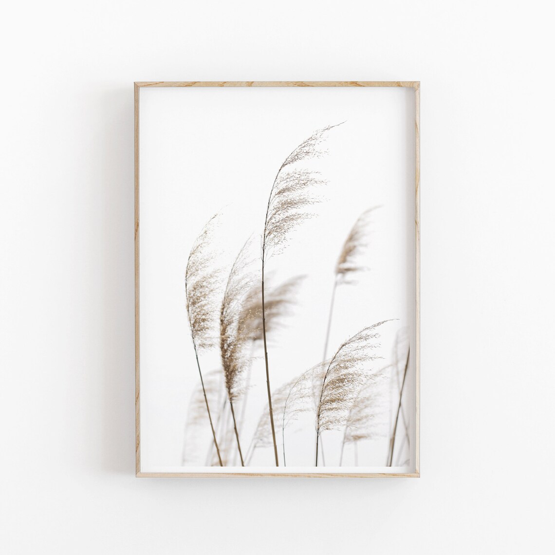 Pampas Grass Art Print, Farmhouse Rustic Decor - Image 2