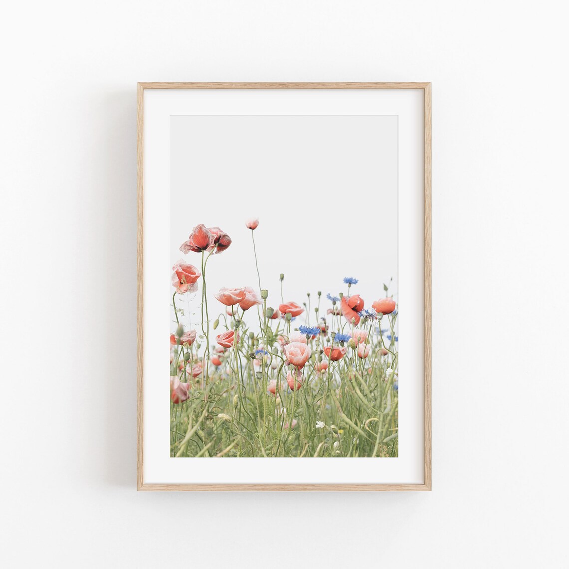 Poppy Flower Botanical Art Print, Modern Minimalist