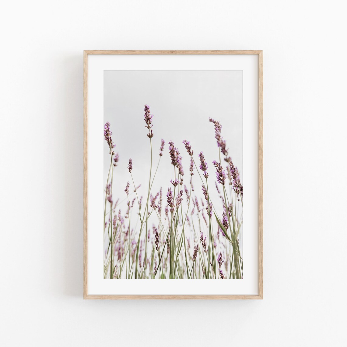 Lavender Flowers Print, Minimalist Botanical Poster