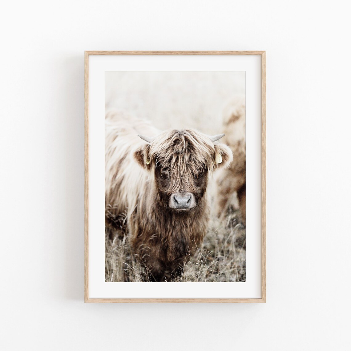 Cow Print Minimalist Photography Poster, Modern Decor