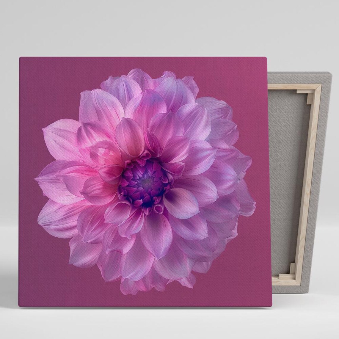 Pink Dahlia Bloom With Violet Center On Magenta Floral Art Poster