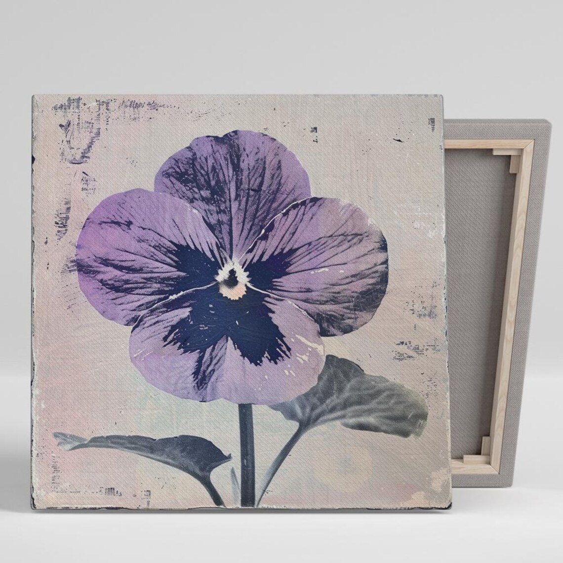 Purple Pansy Vintage Distressed Botanical Print Weathered Beige Poster
