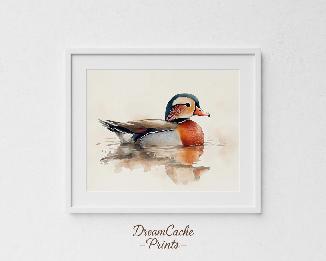Mandarin Duck Watercolor Pastel Pond Farmhouse Minimalist Wall Art