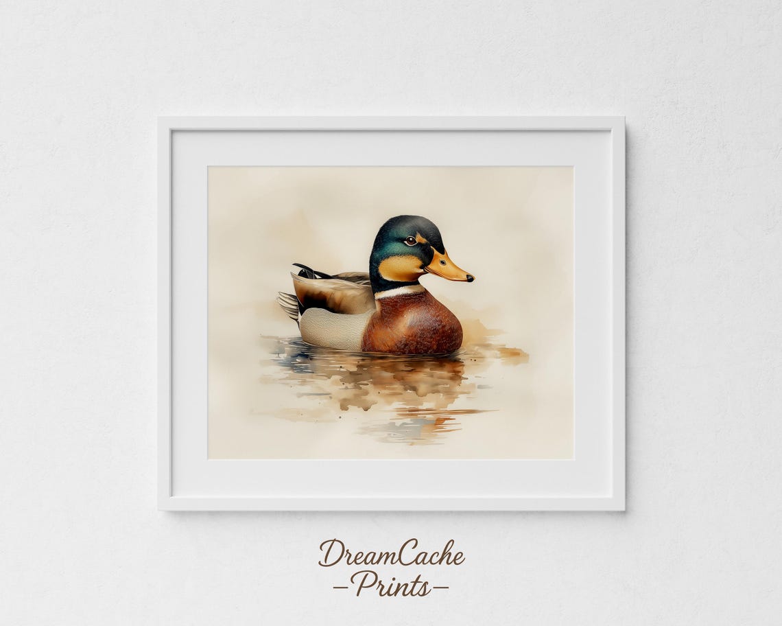 Mallard Duck Watercolor Swimming Pond Minimalist Rustic Wall Art