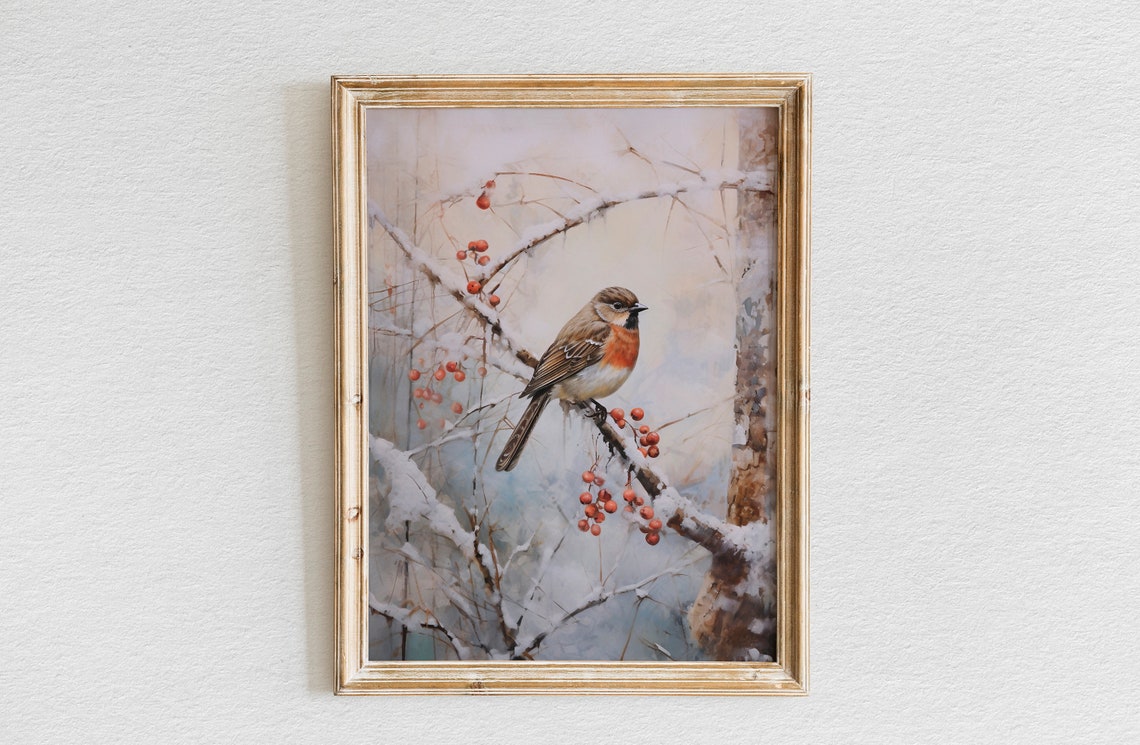 Robin Perched on a Snowy Branch with Red Winter Berries Poster