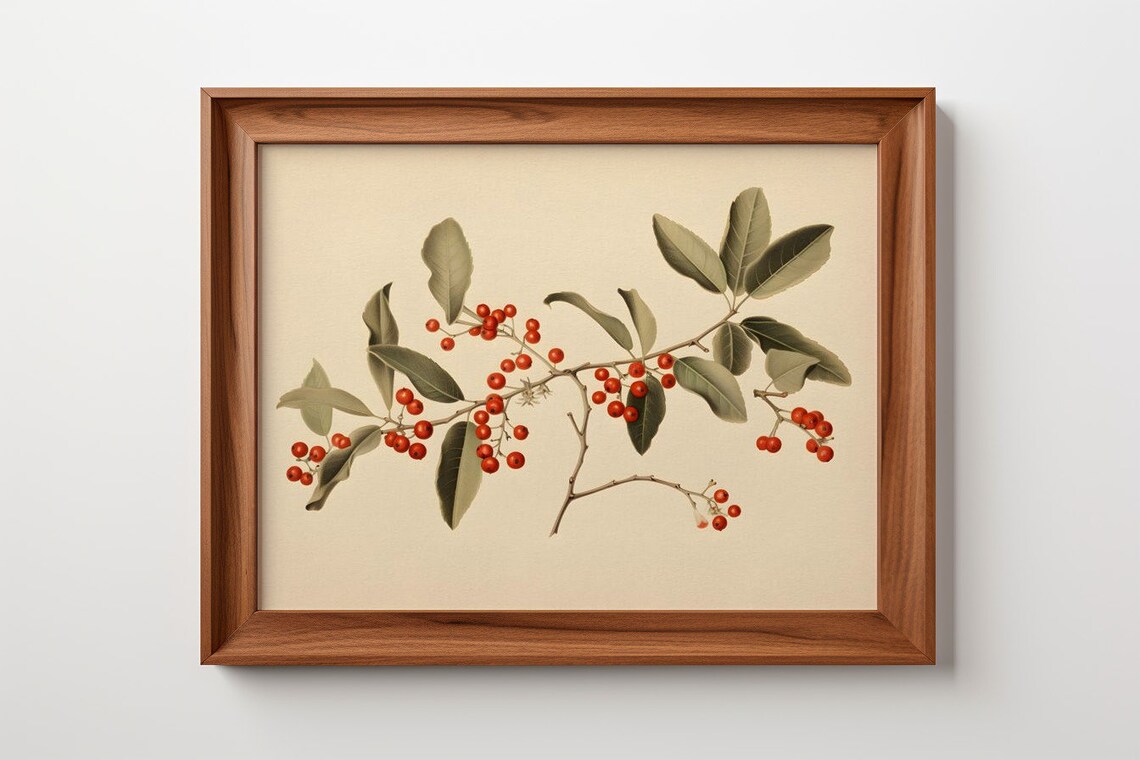 Botanical Holly Branch With Crimson Berrie Art Print