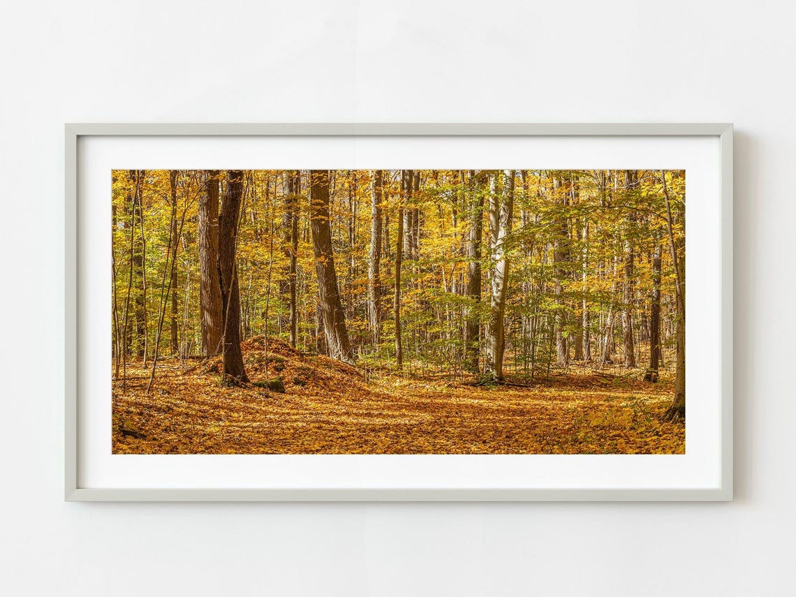 Golden Autumn Forest Panoramic Fall Foliage Trees Photo Poster