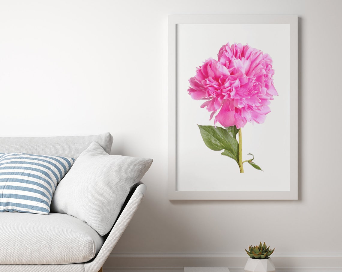 Pink Peony Flower Photography Minimalist Floral Wall Decor Poster