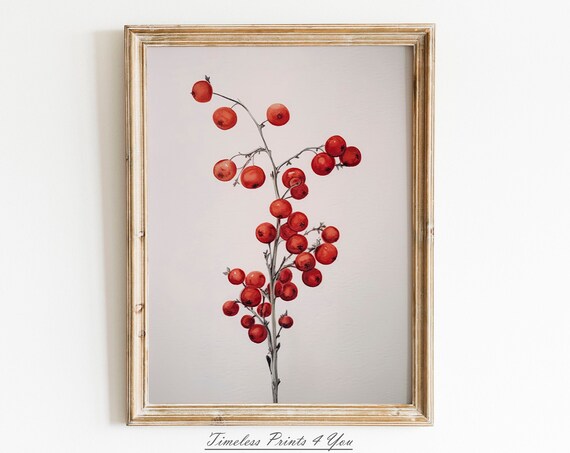 Red Holly Berries Watercolor Branch Winter Botanical Art Print