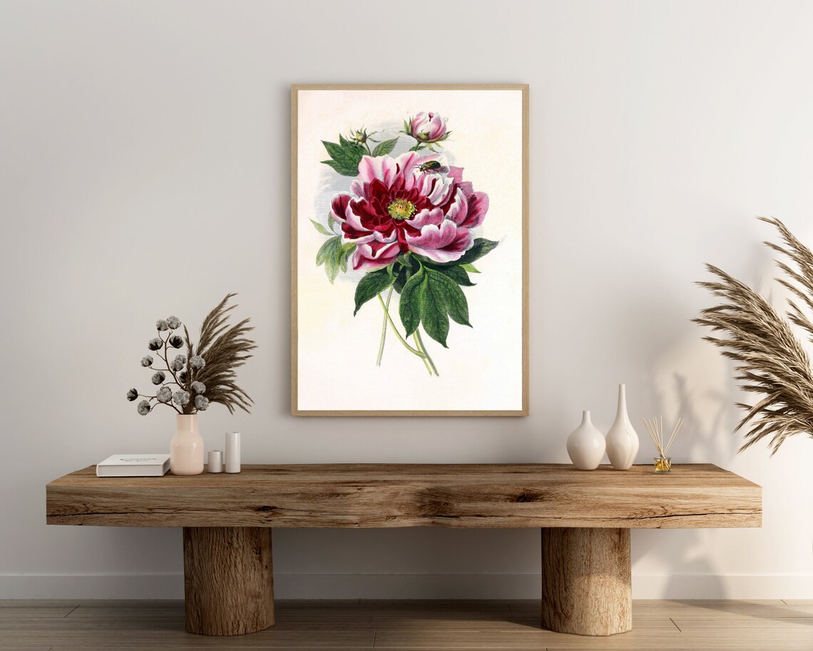 Pink Peony Vintage Botanical Illustration French Farmhouse Poster - Image 3