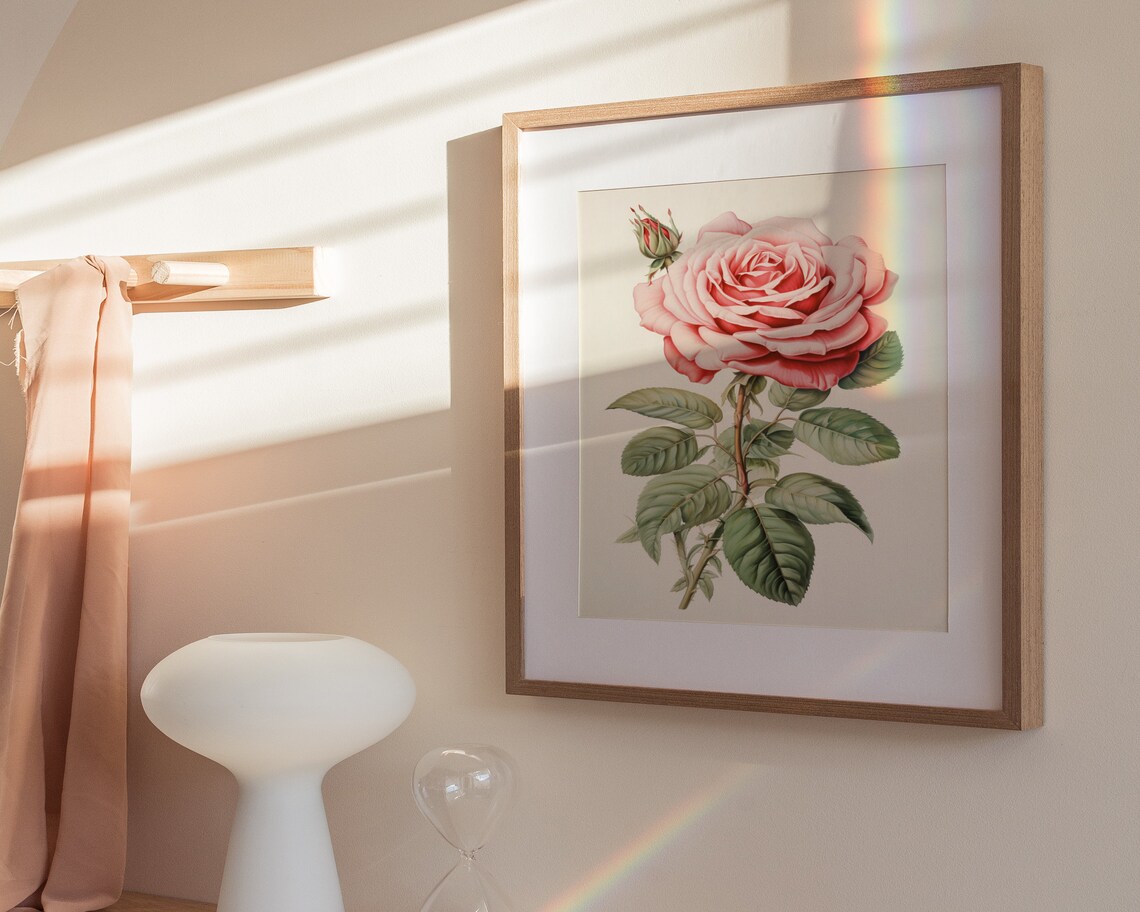 Soft Pink Rose Botanical Vintage Floral Illustration Art Poster - Image 3