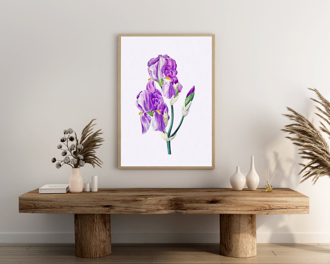 Purple Iris Vintage Botanical Illustration Elegant Floral Poster - Image 3